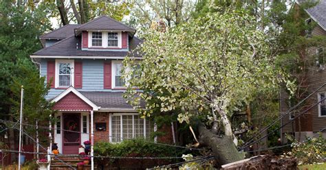 What To Know About Homeowners Insurance And Tree Damage