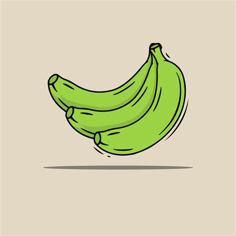 fresh green banana fruit vector 6651665 Vector Art at Vecteezy