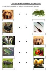 Exercice Unit Et Diversit Du Monde Vivant Eme Primaire
