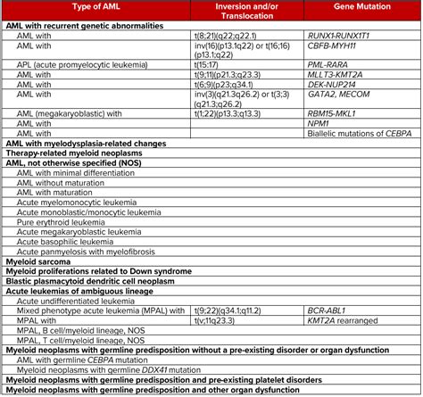 Aml Subtype Leukemia And Lymphoma Society