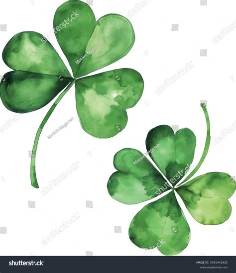 Four Leaf Clover Watercolor Illustration On White Stock Vector Royalty Free 2481441829