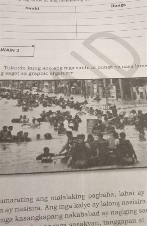 Tukuyin Kung Ano Ang Mga Sanhi At Bunga Ng Nasa Larawan Isulat Ang