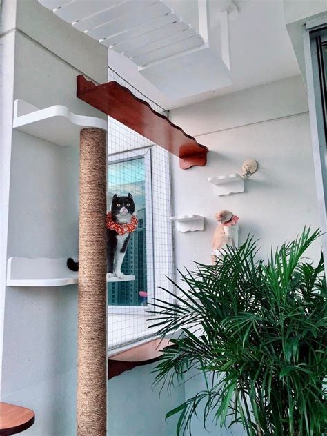 A Safe Balcony For Your Cats — The Cat People Sg