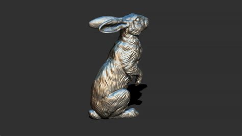 ArtStation - Hare sitting | Resources