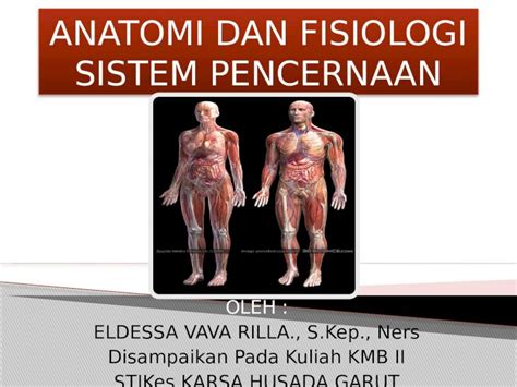 PPTX Anatomi Dan Fisiologi Sist Pencernaan DOKUMEN TIPS