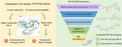 Discovery Of Inhibitors Targeting Protein Tyrosine Phosphatase 1b Using