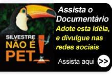 Esp Rita Na Net Silvestre N O Pet Campanha Wspa Brasil