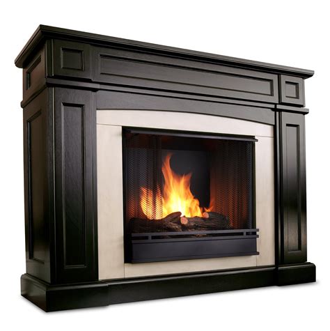 Ventless Propane Fireplace With Blower | Home Design Ideas