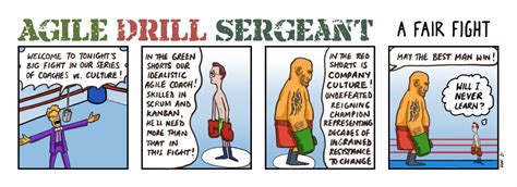 A Fair Fight Agile Drill Sergeant