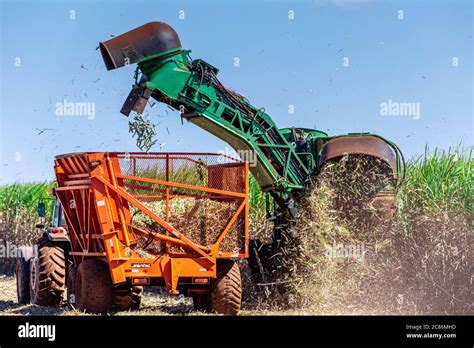 Machine harvesting sugar cane plantation Stock Photo - Alamy