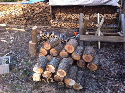 Firewood Identification Firewood Hoarders Club