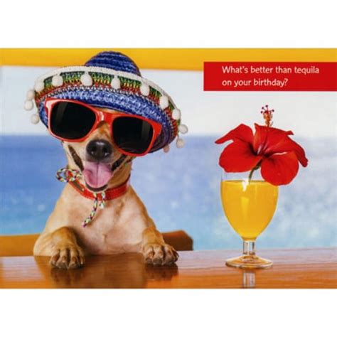 Designer Greetings Dog Wearing Sombrero and Red Sunglasses with Tequila ...