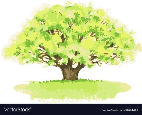 Watercolor Image Old Oak Tree In Summer Royalty Free Vector