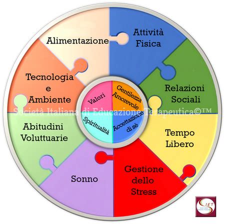 Informazione Attraverso Skalk Stile Di Vita Esempi Balena Baleen