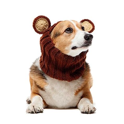 50 Best Dog Winter Clothes (jackets, boots, scarfs, sweaters and more)