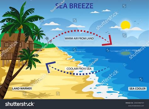 Sea Breeze Coastal Wind That Blows Stock Vector Royalty Free