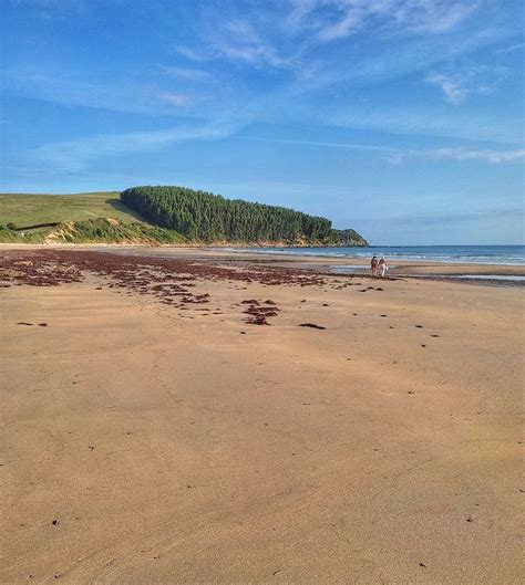 Dog Friendly Beaches in San Vicente de la Barquera - BeachAtlas