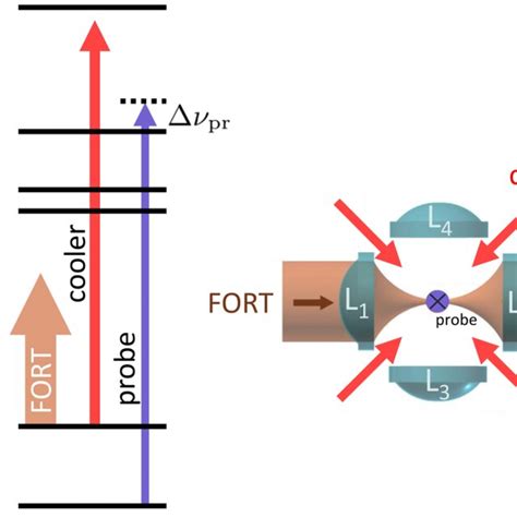 Quantum Jump Spectroscopy Of The 5s 1 2 F 1 → 5p 3 2 F 2 Download Scientific Diagram