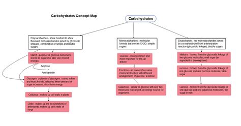 Carbohydrates Concept Map Mind Map Edrawmind The Best Porn Website