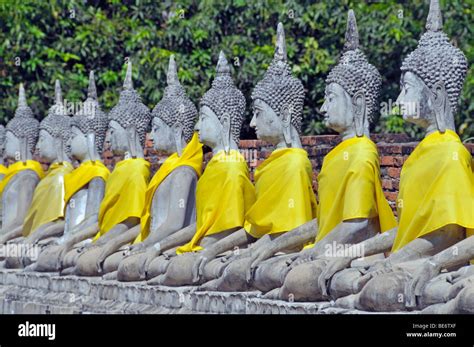 Buddha Statues Around The Great Chedi Chaya Mongkol Wat Yai Chai