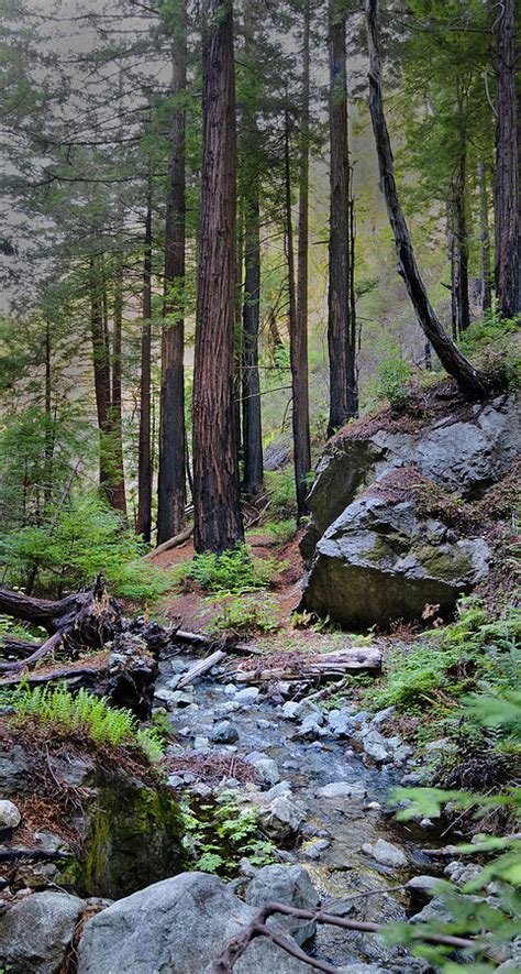 Partington Cove Big Sur Photograph By Lars Mikkelsen Fine Art America