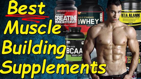 What Is The Best Supplements For Muscle Building Proteins Vs Fat Vs Carb