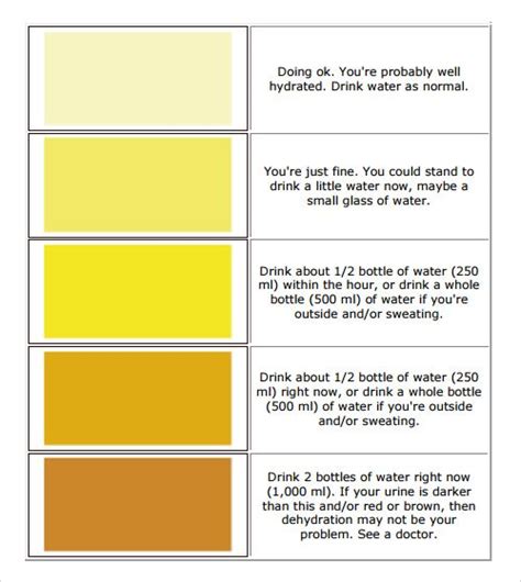 Urine Color Meaning