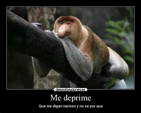 Imágenes y Carteles de NARIZON | Desmotivaciones