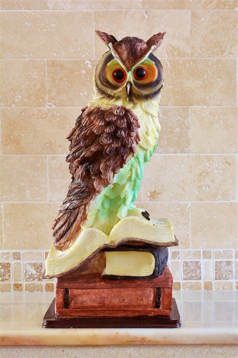 Owl A Symbol Of Wisdom And Knowledge Stock Photo - Image of legal, college: 8981252