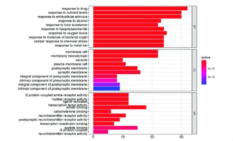 Functional Enrichment Analysis Of The Top 10 In Go The Y Axis Shows