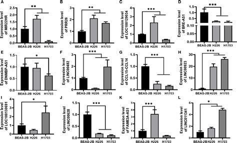 Frontiers Identification Of Prognosis Related Lncrnas And Cell