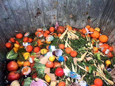 Over 1 Billion Tonnes More Food Being Wasted Than Previously Estimated