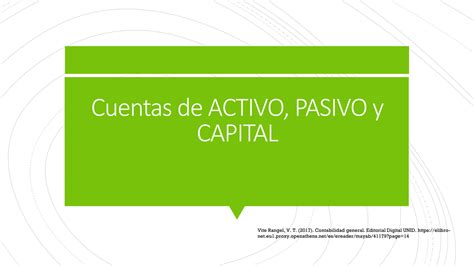 SOLUTION Cuentas De Activo Pasivo Y Capital Studypool