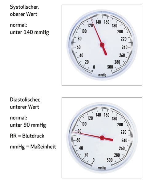 Normale Blutdruckwerte DMP Onlinetraining