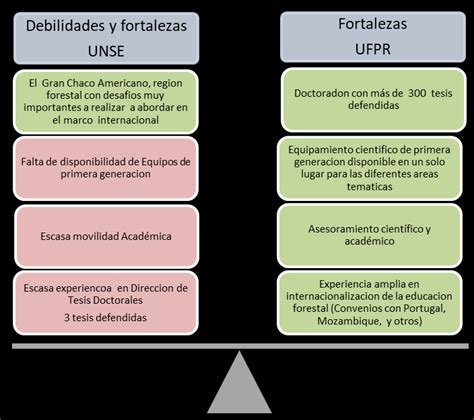 Debilidades Y Fortalezas De Las Instituciones Participantes Download Scientific Diagram