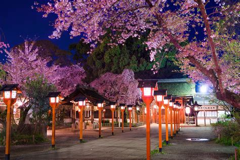 古くから桜の社として有名な京都の平野神社の魅力とは？caedekyoto カエデ京都 紅葉と伝統美を引き継ぐバッグ