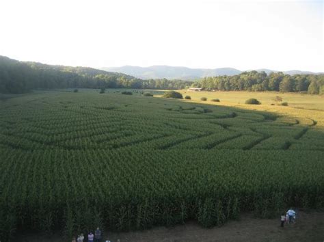 Corn Mazes To Visit In Northern Georgia