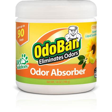 OdoBan 14 oz. Citrus Solid Odor Absorber, Odor Eliminator for Smoke ...