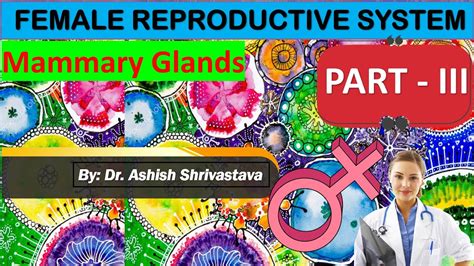 FEMALE REPRODUCTIVE SYSTEM PART THREE MAMMARY GLAND HUMAN