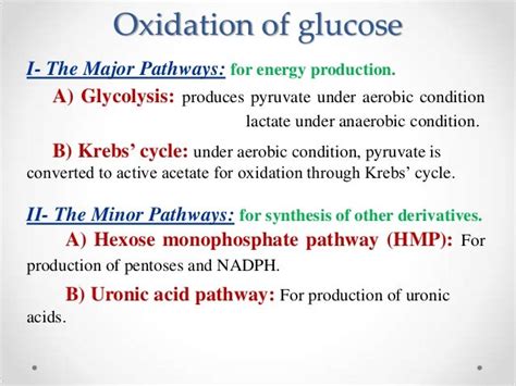 Carbohydrate Metabolism Biochemistry