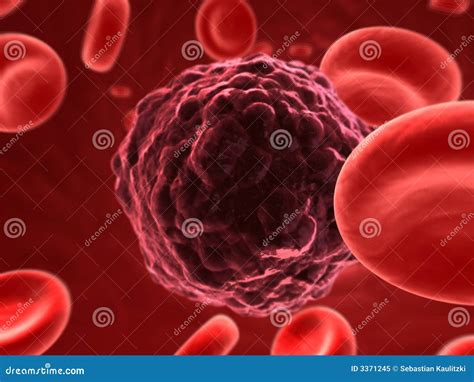 Cancer Cell Royalty Free Stock Photo Image 3371245