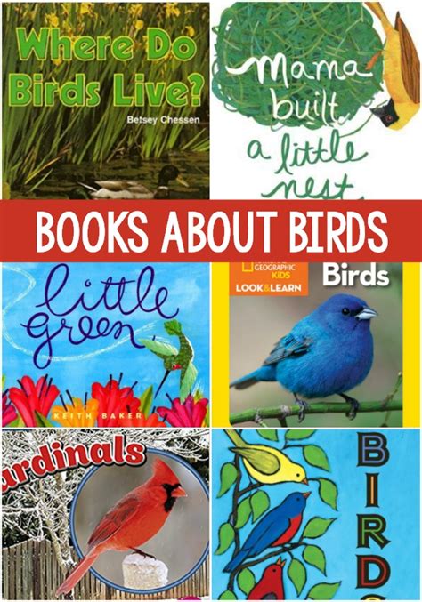 20 Best Bird Books For Preschool Kids To Read About