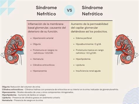 SINDROME NEFRÓTICO VS NEFRÍTICO pierodiaz med uDocz Síndrome