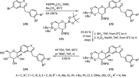 Synthesis of benzisothiazole and indolizine β d glucopyranosides 174