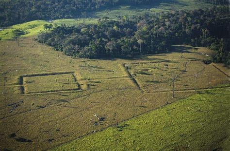 Patrimônio histórico sob ameaça Geoglifos da Amazônia enfrentam