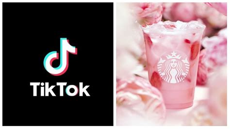 Top Tiktok Starbucks Drinks You Need To Try