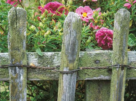 23 Rustic Cottage Garden Fence Ideas To Consider Sharonsable