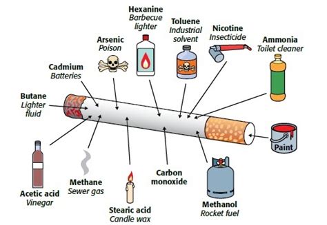 Science Knowledge The Contents Of Cigarette Smoke