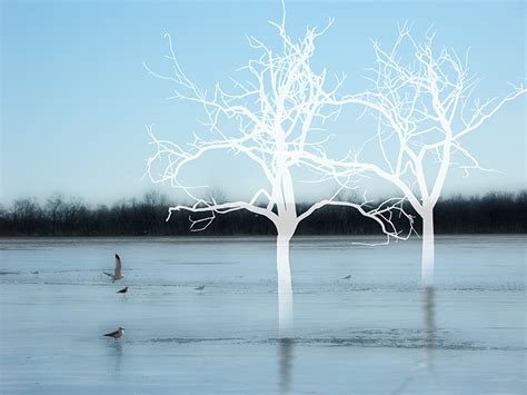 Ethereal Nature by Ellen Jantzen | Susan Spiritus Gallery