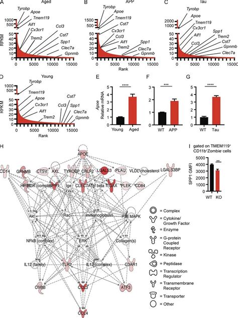 Microglial APOE Drives The Top Network Formed By Shared Microglial